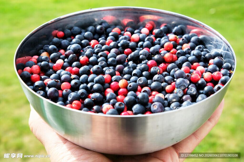 手捧碗中饱满浆果