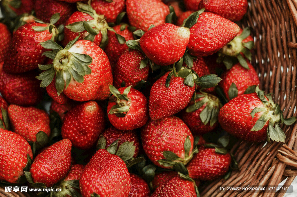 满满一篮新鲜诱人的草莓