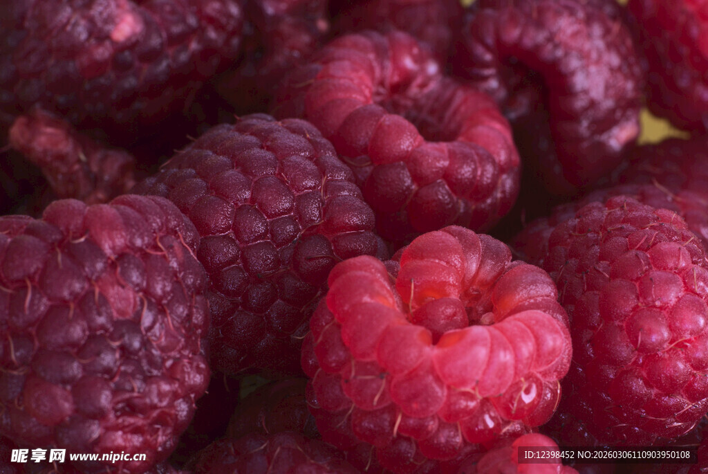 新鲜饱满的树莓果实