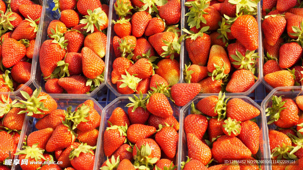 盒装新鲜草莓整齐排列