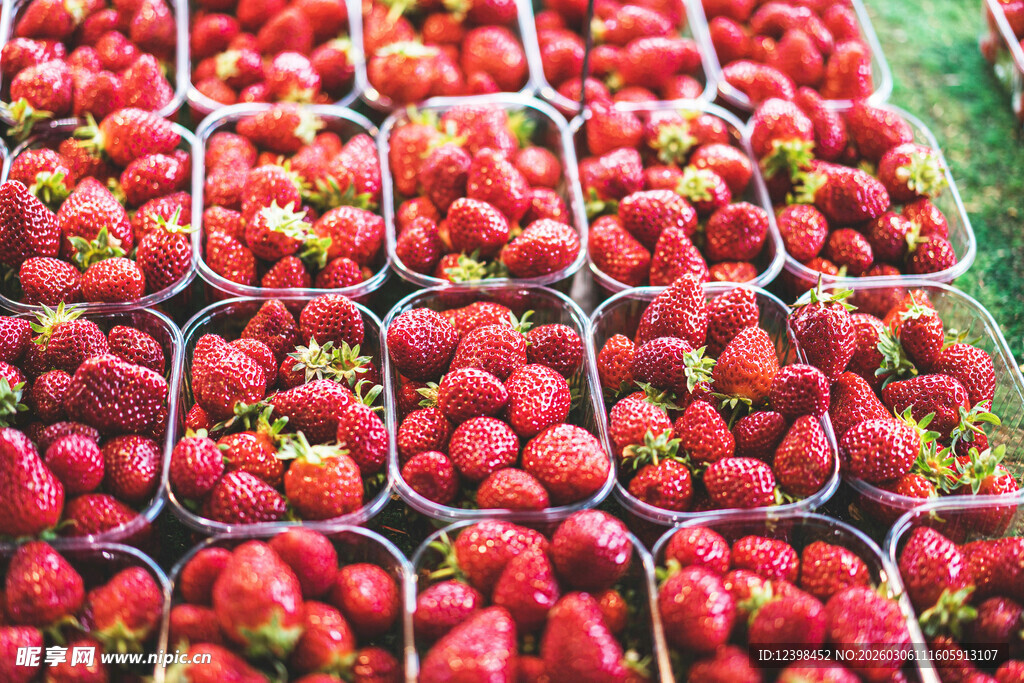 新鲜草莓整齐摆放售卖