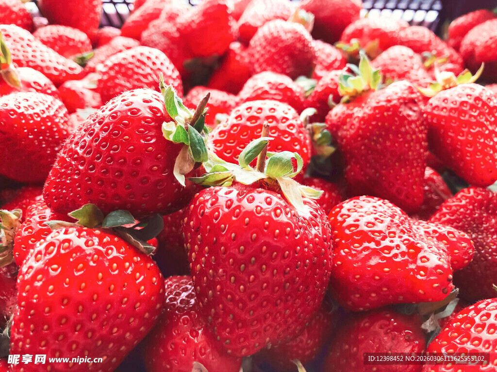 新鲜饱满的草莓堆