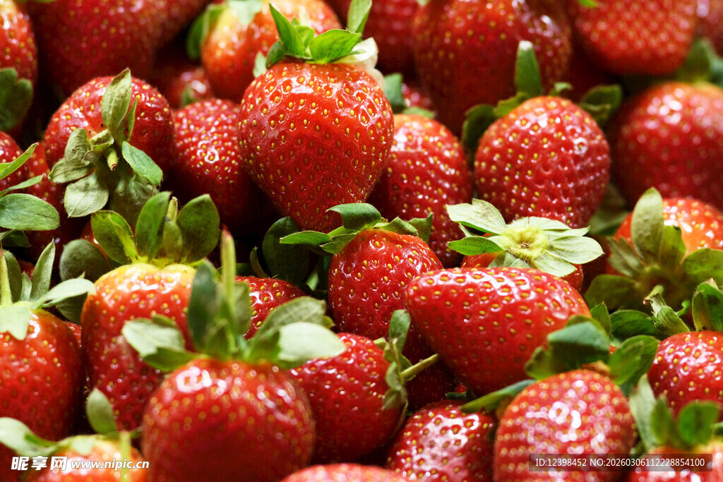 新鲜饱满的草莓果实