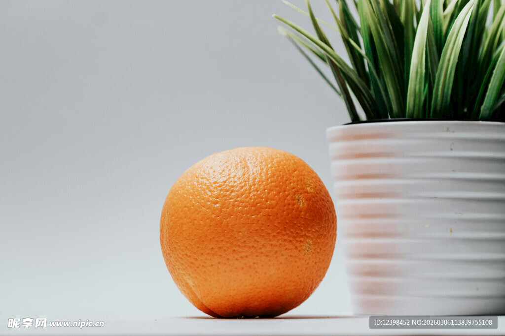 橙色鲜果与绿植盆栽