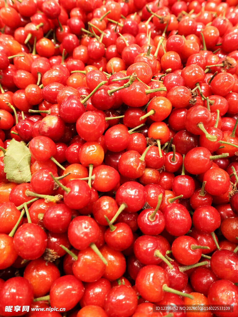 饱满鲜红的樱桃果实