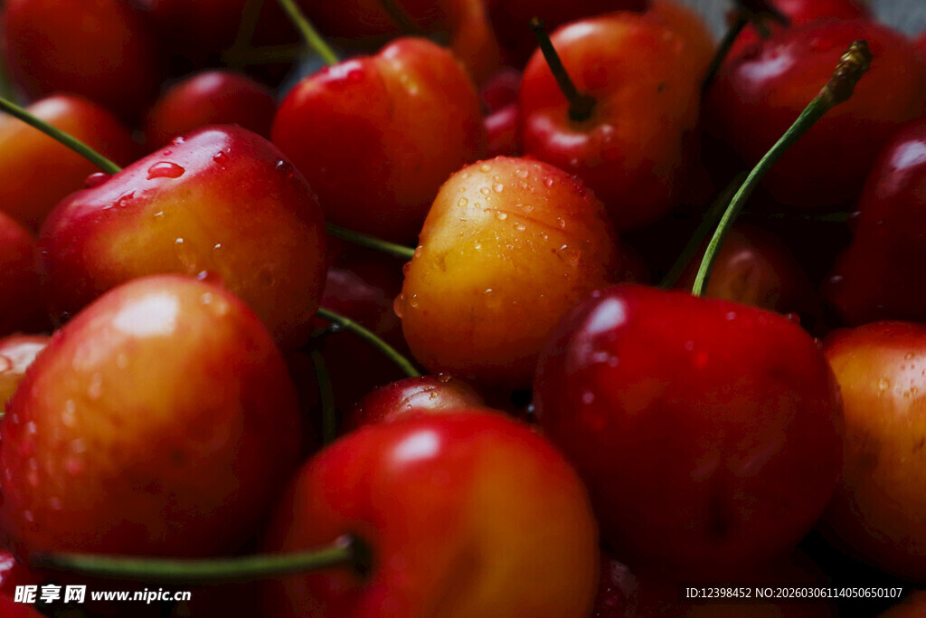 新鲜饱满的诱人樱桃