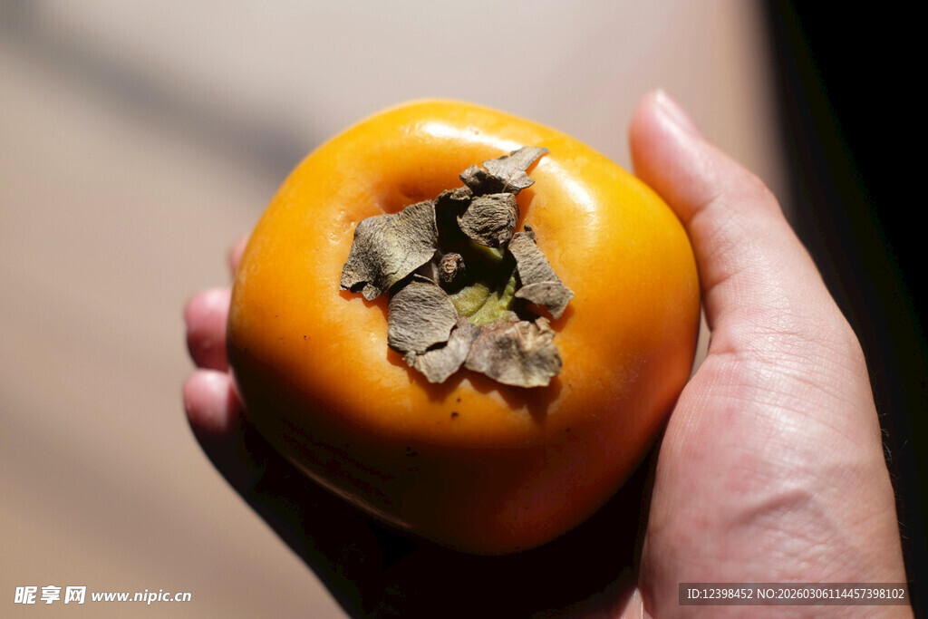 手中的鲜橙柿子
