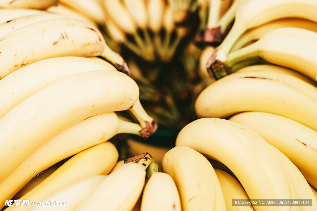 一堆新鲜的黄色香蕉
