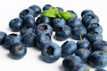 蓝莓