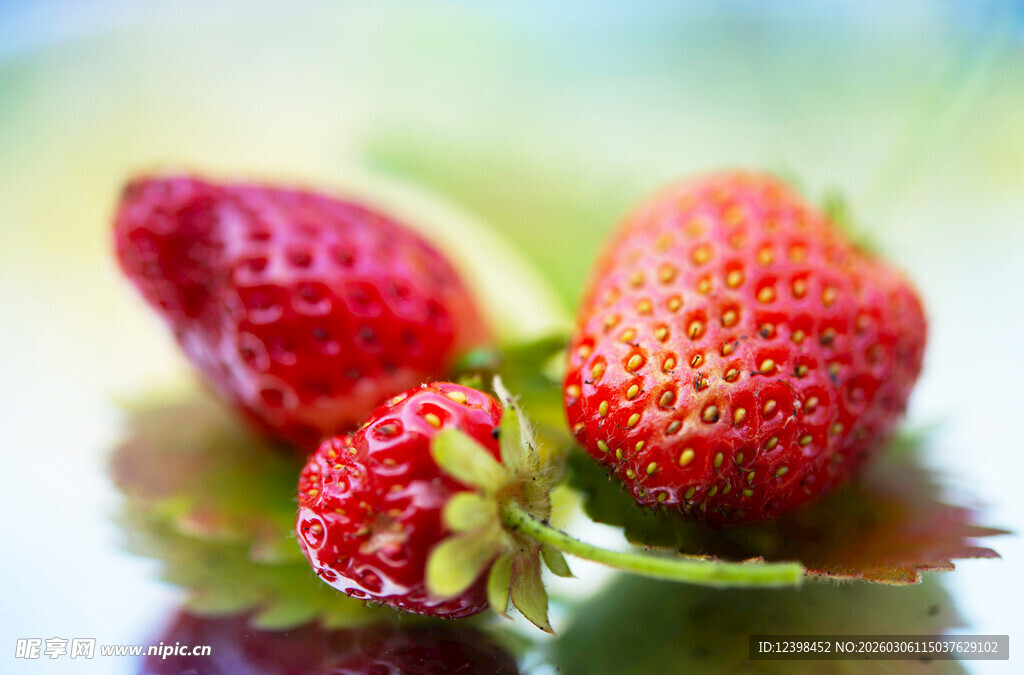 新鲜诱人的三颗红草莓