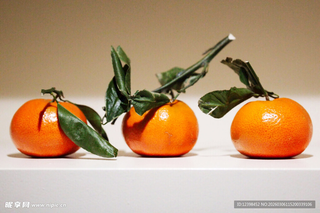 三颗带叶鲜橙摆拍图