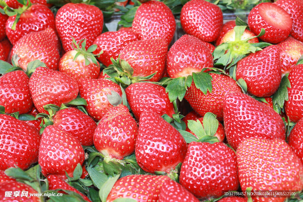 新鲜饱满的草莓堆