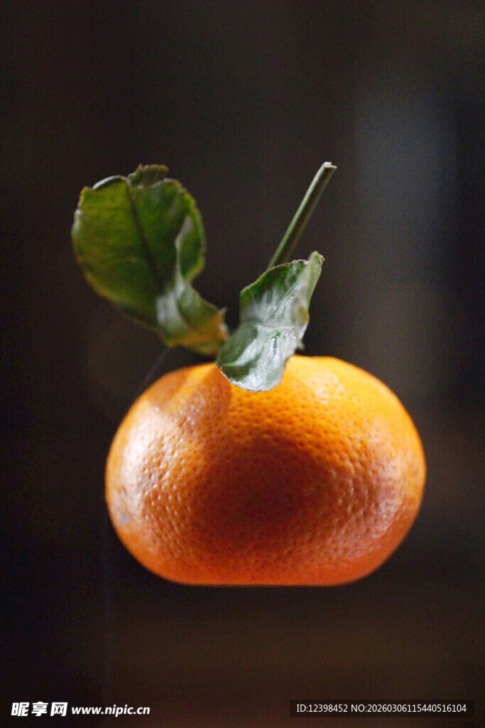 带绿叶的新鲜橙子