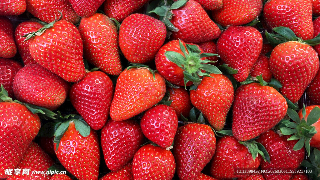 新鲜饱满的草莓大集合
