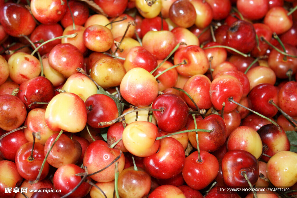 新鲜饱满的红黄樱桃