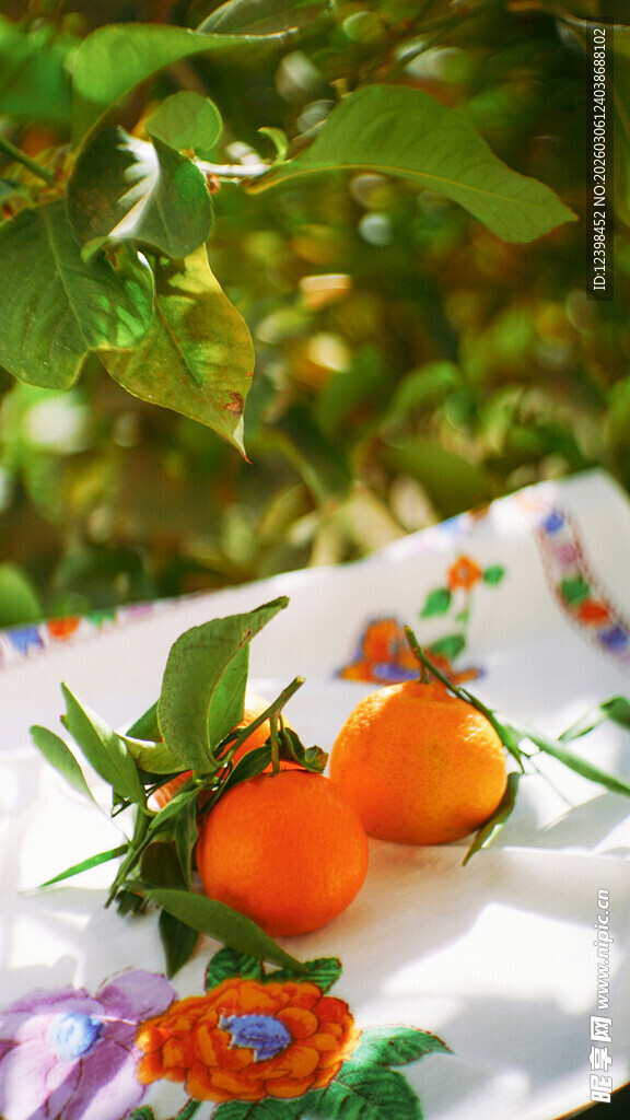 盘中鲜橘伴绿叶