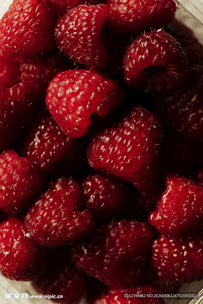 新鲜饱满的树莓果实