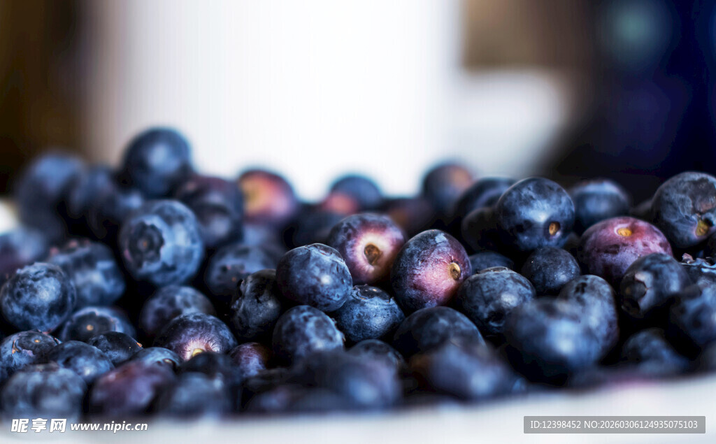 新鲜饱满的蓝莓果实