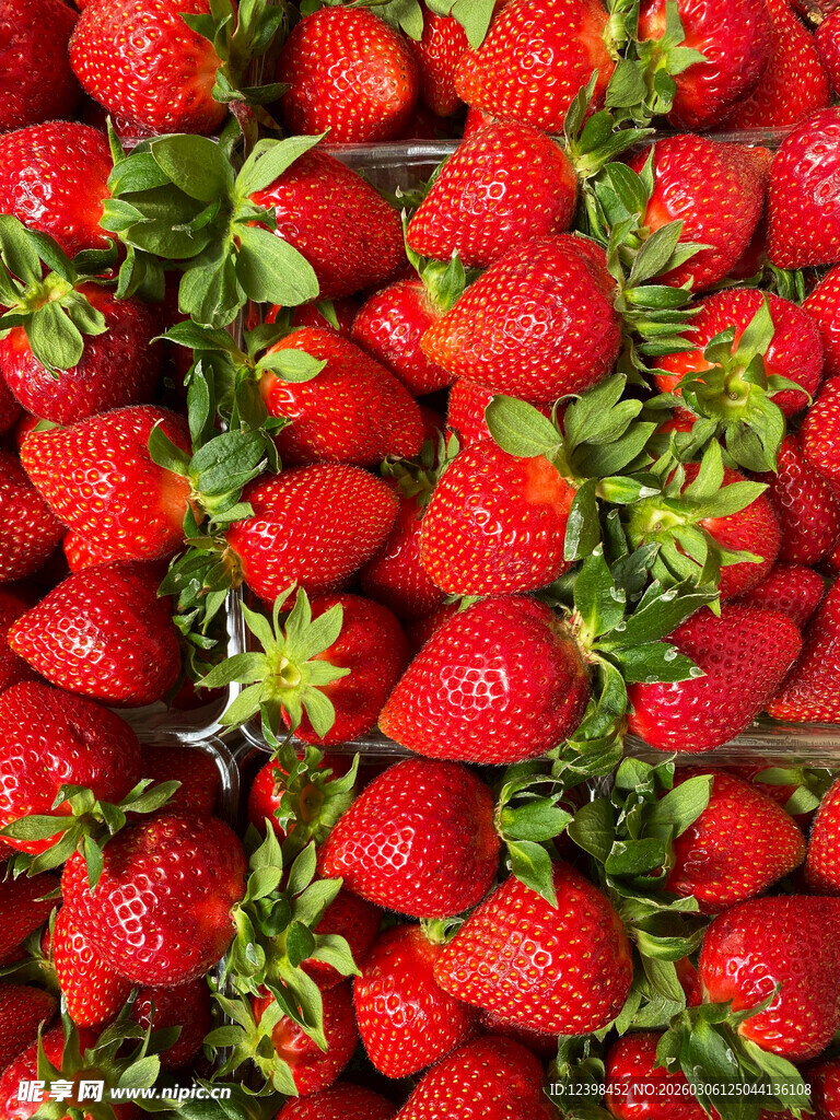 新鲜饱满的草莓果实