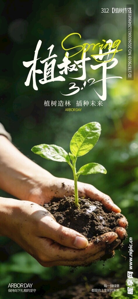 双手呵护新生植物