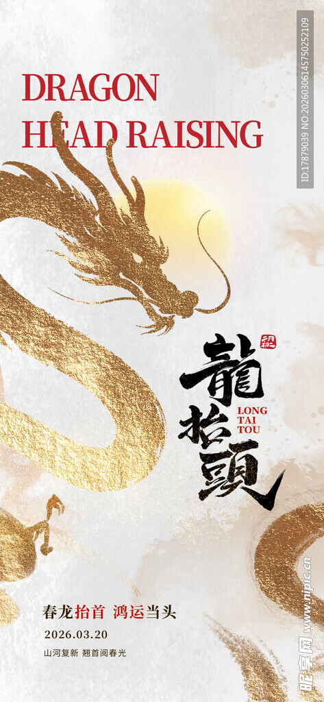 龙纹图案设计展示