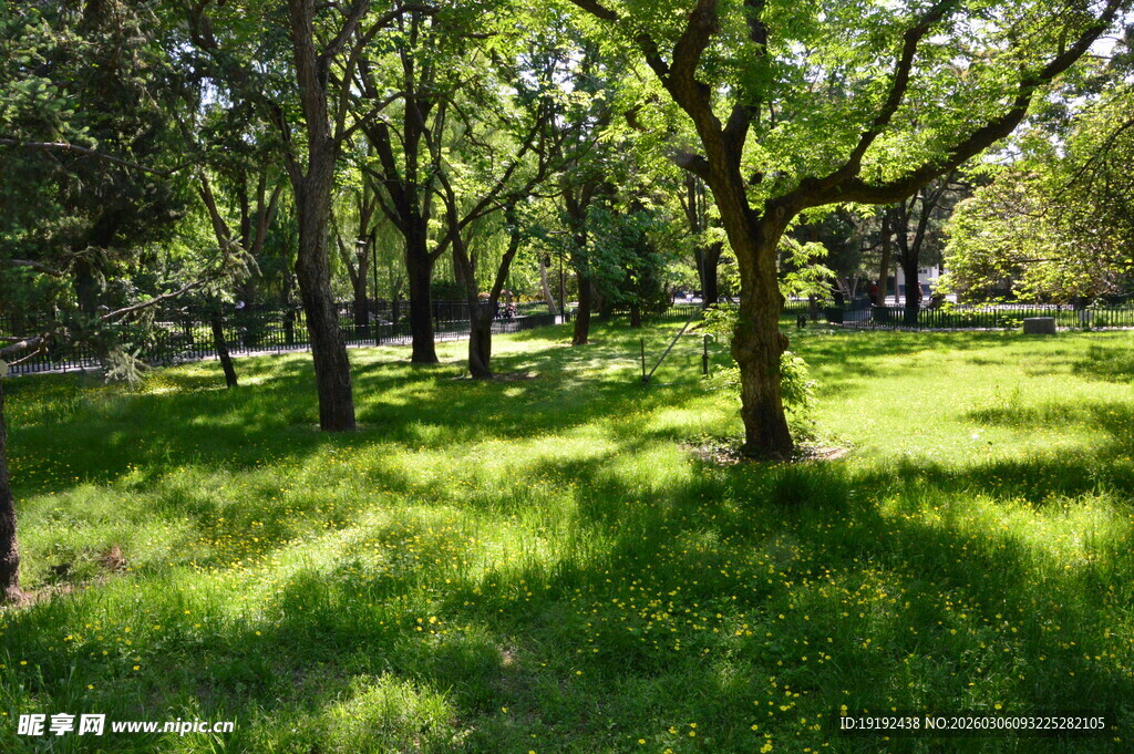 公园风景  