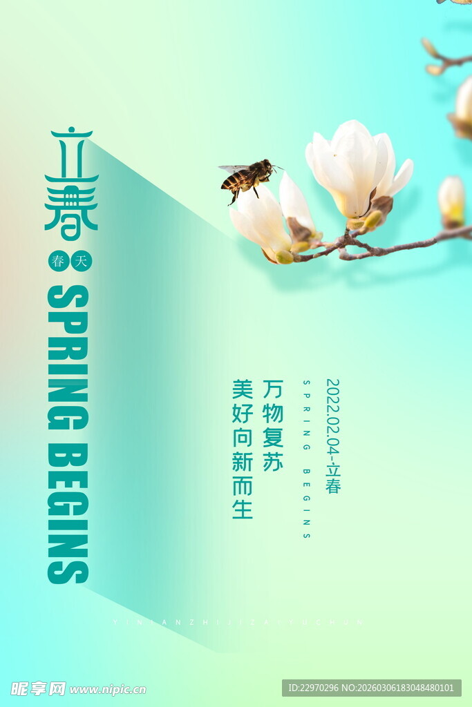 立春时节玉兰花与蜜蜂