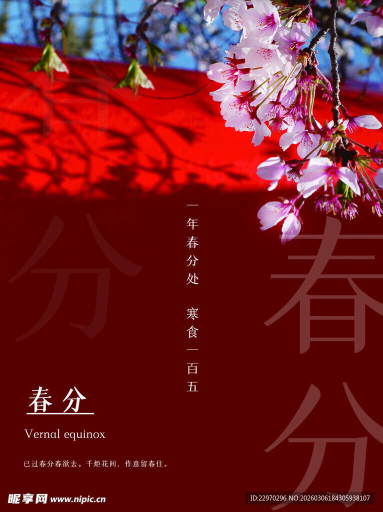 春分时节繁花美景