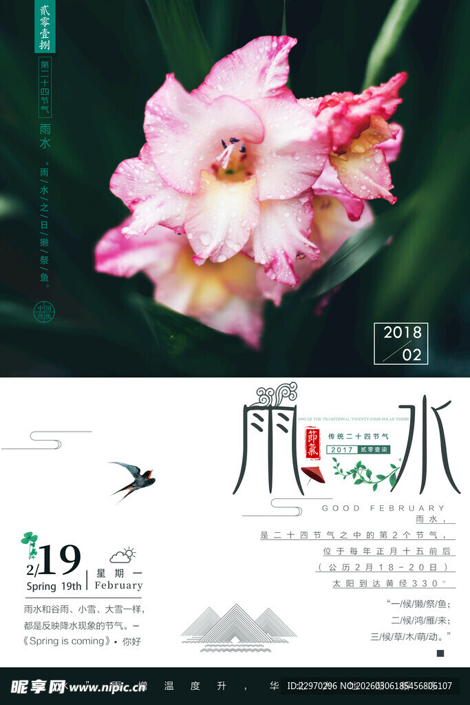 优雅绽放的粉色香雪兰