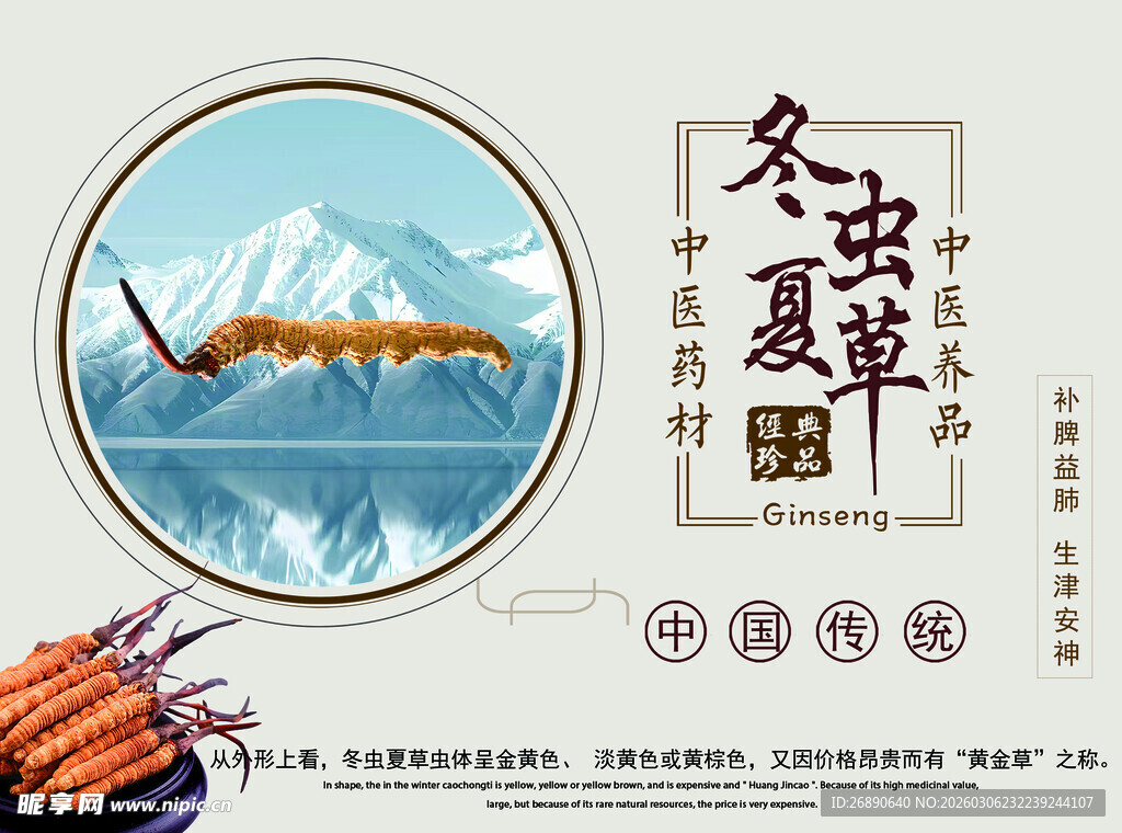 冬虫夏草宣传图
