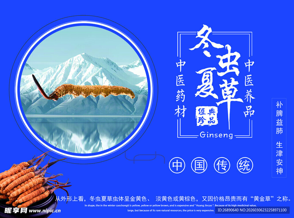 冬虫夏草宣传图