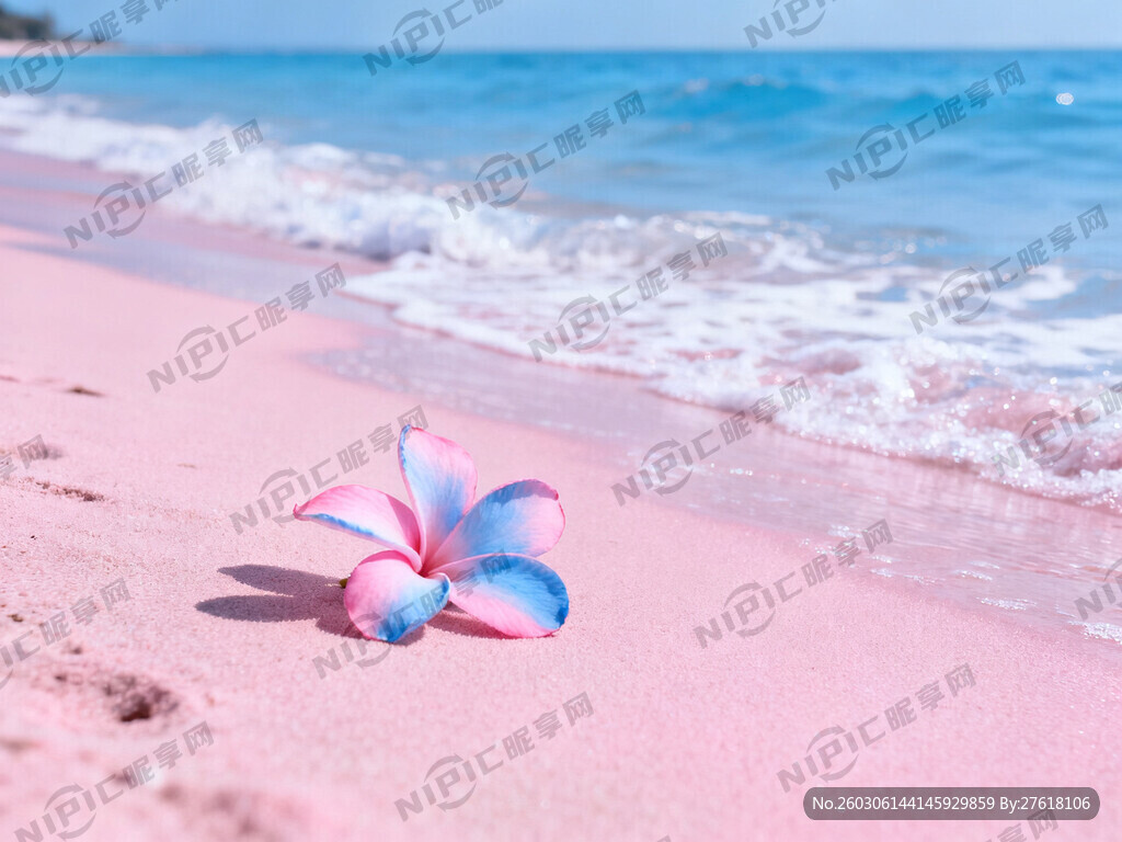 有花 有海滩 粉蓝色系