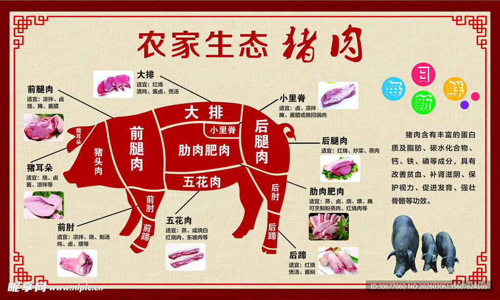 农家生态猪肉剖析分割图