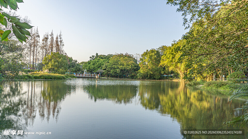 湖畔绿树倒映美景