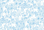 蓝白花卉图案背景纹理