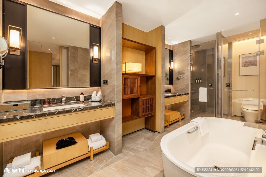 豪华现代风格浴室场景