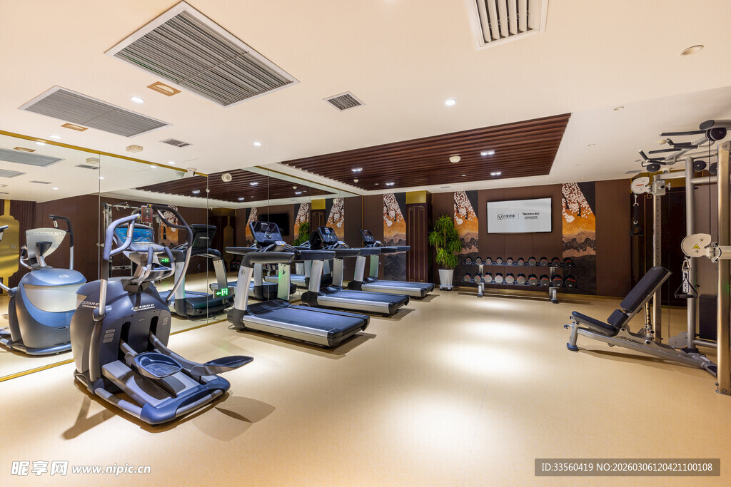 现代健身房内部器械展示