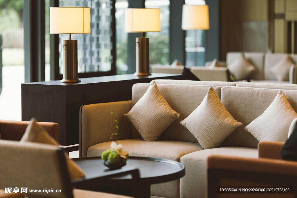 优雅舒适的客厅沙发场景