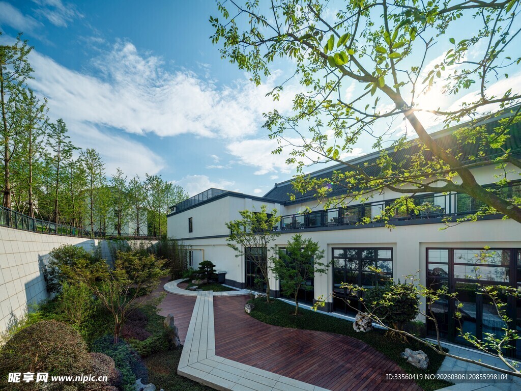 现代庭院景观绿意盎然