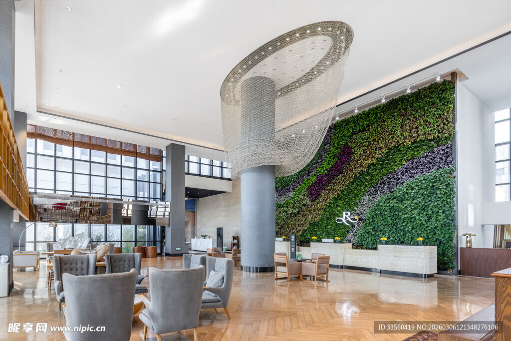 现代办公空间的绿植墙景观