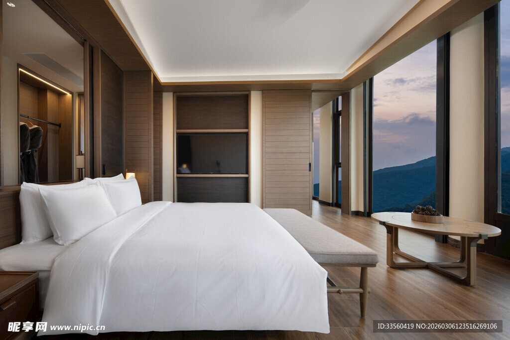 豪华观景卧室室内风光