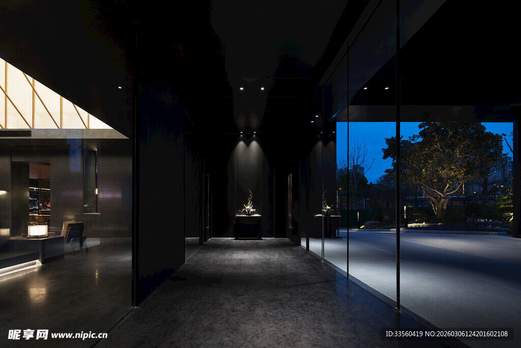 现代暗黑风室内空间夜景