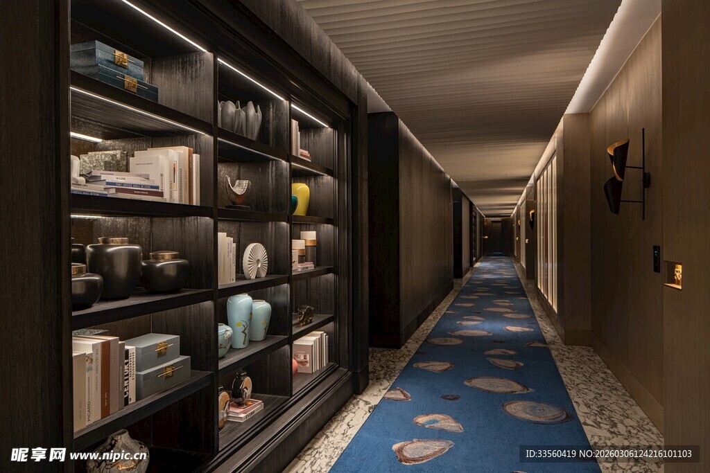 奢华走廊的精致书架陈列