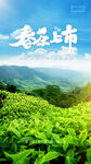 春茶上市
