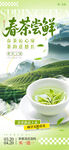  春茶上市 