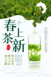  春茶上市