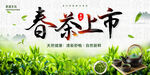  春茶上市