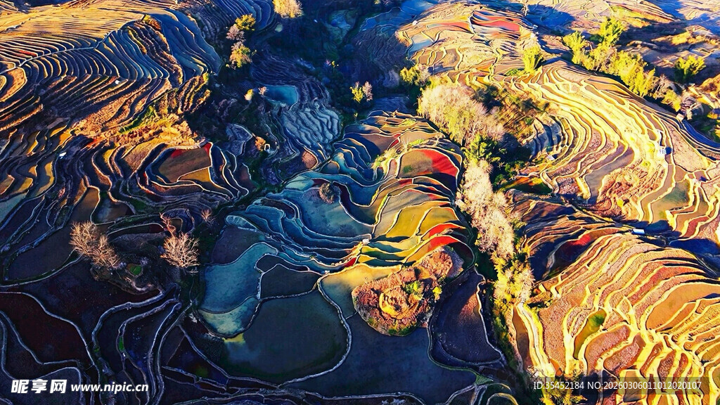 梯田