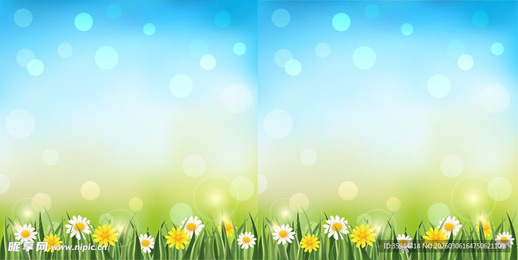 春日草地花卉背景