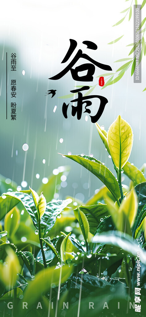 谷雨